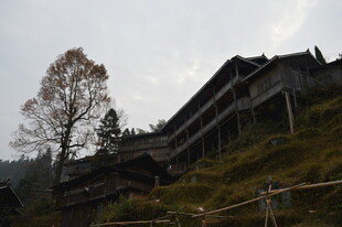 山间古朴木屋与孤树