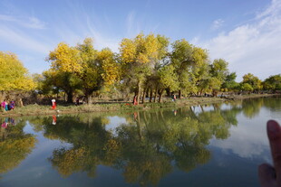 湖畔秋景 树影倒映于碧水