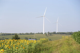 田野中的风车与向日葵