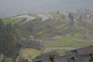 雾中梯田村落美景