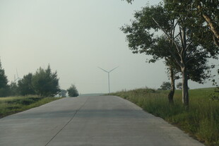 乡间公路 绿树相伴