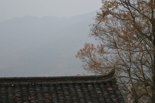 古屋顶畔 秋树远山朦胧景