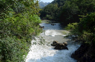 山间溪流 绿意环绕的美景