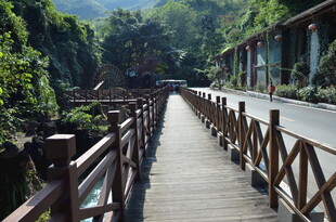 山间木栈道 自然好风光