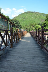 山间木桥风景