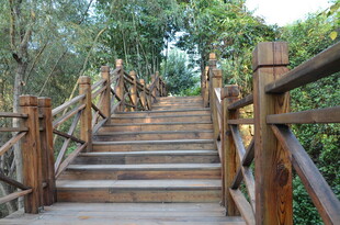 林间木质阶梯步道