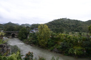 山间河流与葱郁植被景观