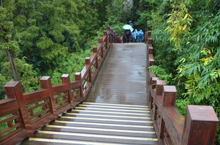 山林间的木质步道
