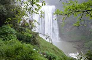 山间瀑布旁的葱郁景致