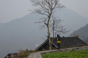 山间小屋旁的孤树