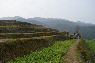 山间梯田小道与劳作身影