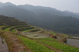 山间梯田美景