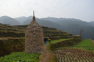 山间草垛与梯田田园景致