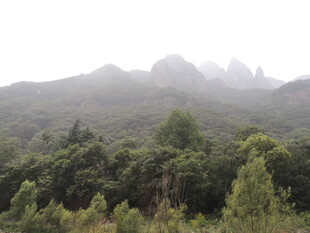 山林叠翠 远处奇峰耸立