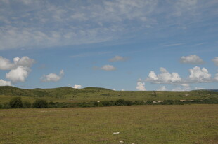 广袤草原与蓝天白云
