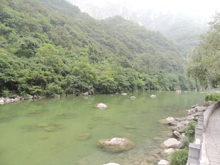 山间绿水伴石的秀丽风光