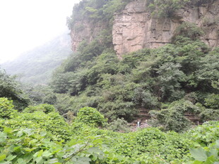 山间绿意盎然的秀丽景致