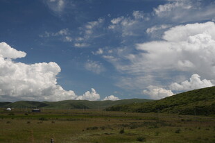 蓝天白云下的广袤原野