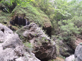 山间岩石与繁茂绿植