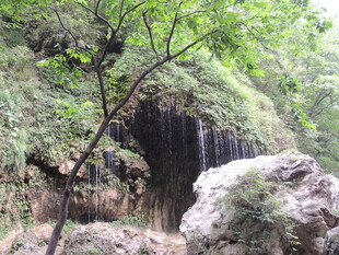 山间瀑布旁的葱郁景致