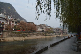 河畔垂柳下的城镇风光