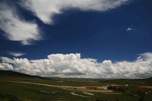 蓝天白云下的广袤原野