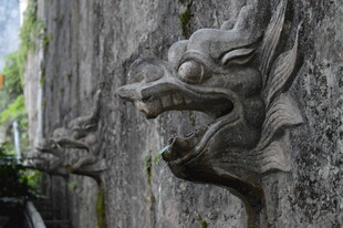 古老石雕兽头 尽显神秘韵味