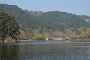 宁静湖畔山林风光