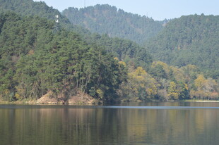 宁静山林间的静谧湖水