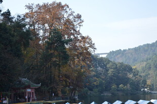 湖畔山林美景