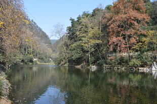 秋日山林中的宁静湖水