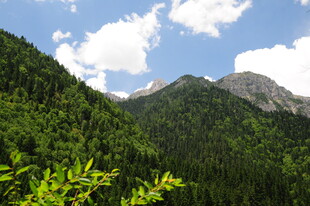青山葱郁间的壮丽山景