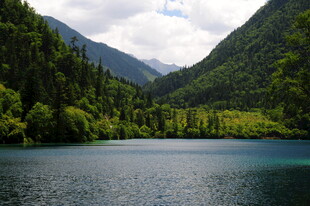 山间幽湖 绿意环绕之景