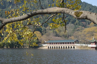 湖畔古建旁的秋日景致