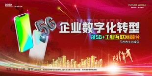 会议背景