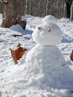 雪人