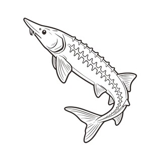 手绘中华鲟图案