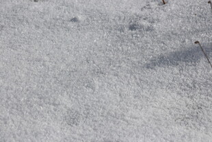 雪地景象
