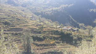 山间梯田村落美景