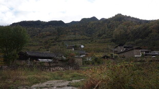 山间村落 宁静质朴之景