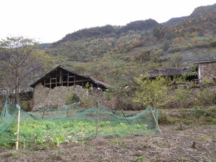 山间农舍与田园风光