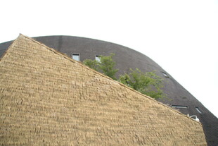 草坡与建筑结合景观