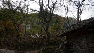 乡村旧景 静谧山林小屋
