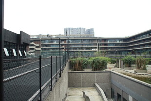 现代建筑庭院景观