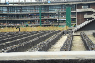 城市铁轨旁的建筑景观