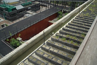 屋顶绿植景观阶梯