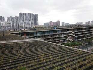 城市屋顶景观与远处高楼