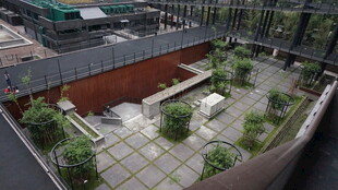屋顶花园景观设计