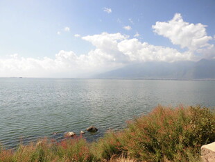 湖畔风光 水域与岸边长草