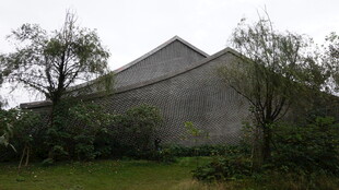 灰墙建筑旁的葱郁绿植